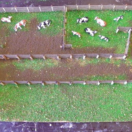 Scale Model Cattle yard N scale 1:160